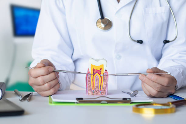 Best Emergency Orthodontic Repairs in Redfield, SD